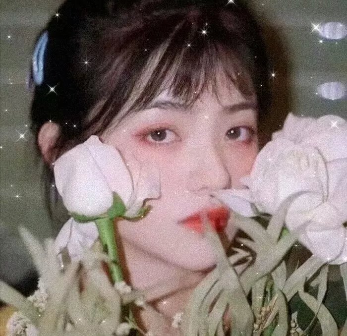 扩张少女系三重奏